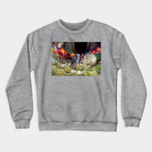 pair of  mice at winter log cabin very festive Crewneck Sweatshirt